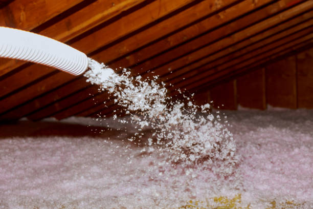 Best Spray Foam Insulation  in Laverne, OK