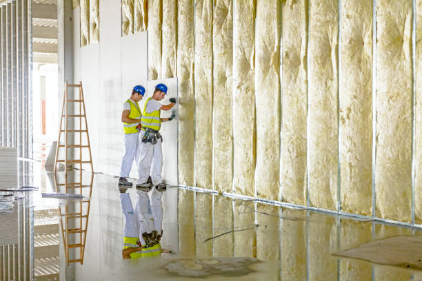 Garage Insulation Installation in Laverne, OK